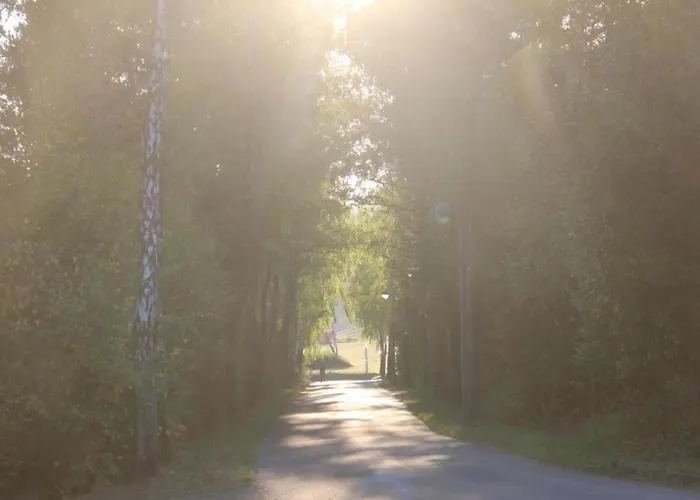 Amazing In Prázdninový dům