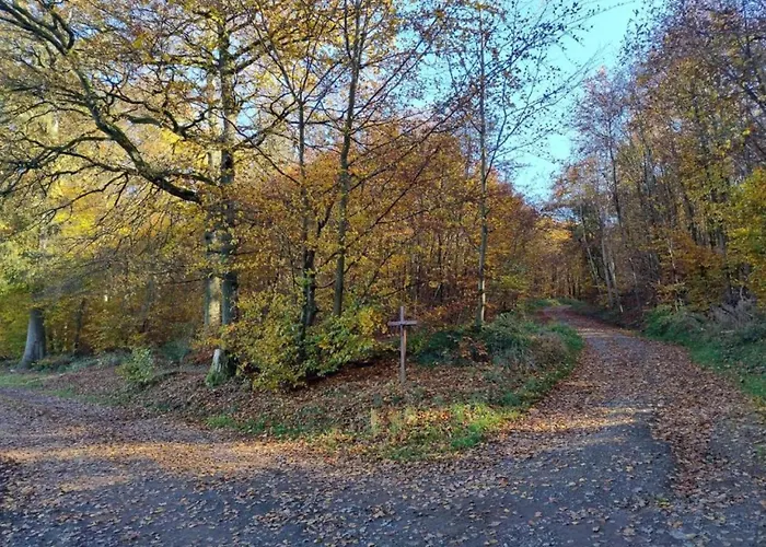 Amazing In Prázdninový dům