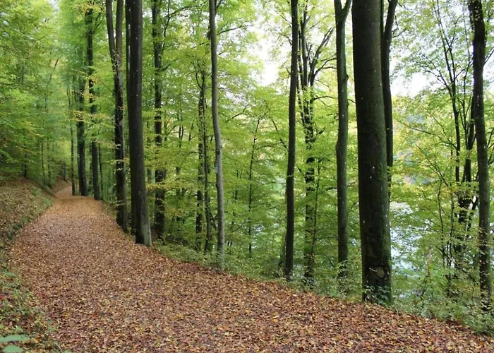 Amazing In Prázdninový dům *